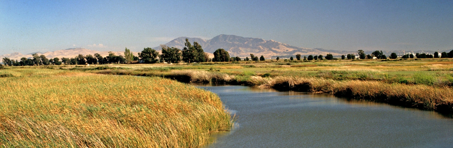 San Joaquin River Delta with Mount Diablo in the background. Photo: California Department of Water Resources